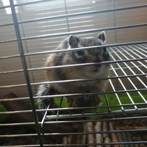 Meet your Posher, Danile